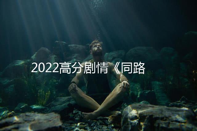 2022高分劇情《同路前行》1080p.BD中字